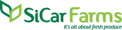 logosicar